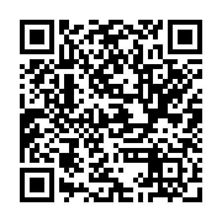 QR code for YIC383