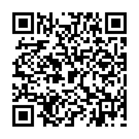 QR code for YIN541