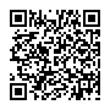 QR code for YIN993