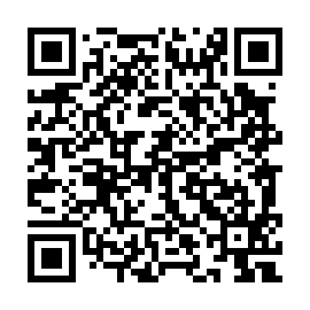 QR code for YLL095