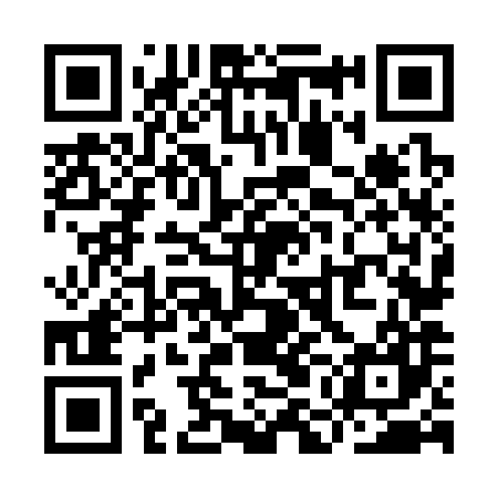 QR code for YMN387