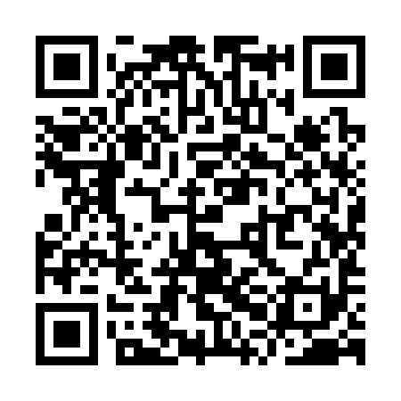 QR code for YPI391