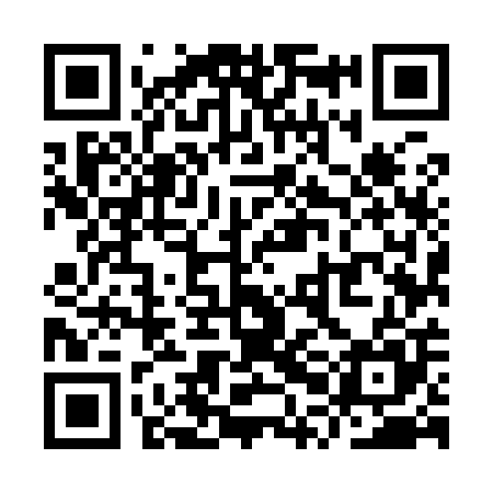 QR code for YPM905