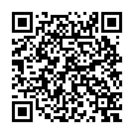 QR code for YPS336