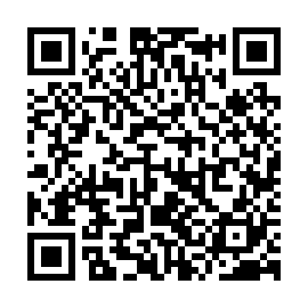 QR code for YSF220
