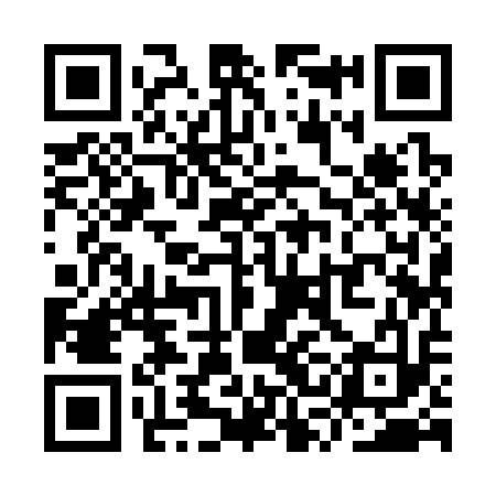 QR code for YSI313