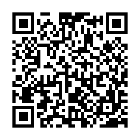 QR code for YSM096