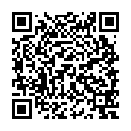 QR code for YSN398