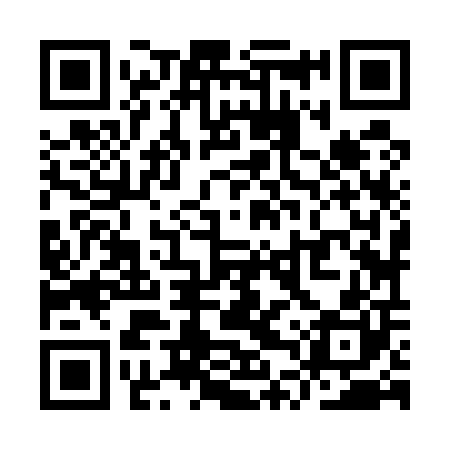 QR code for YTZ500