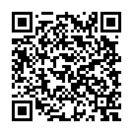 QR code for YVD011