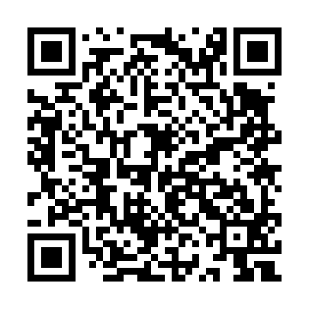 QR code for YVK493