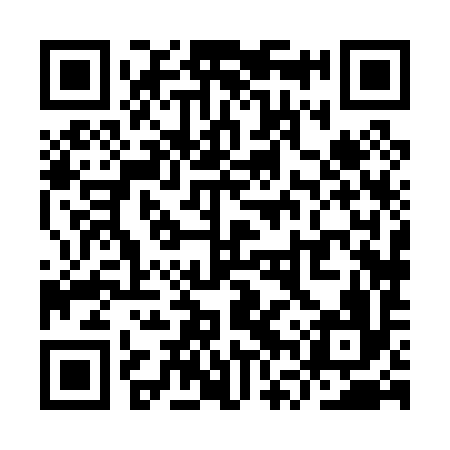 QR code for YVX096