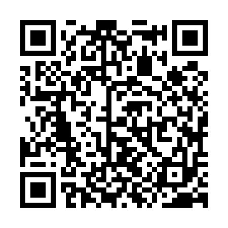 QR code for YYZ513