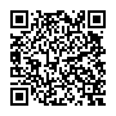 QR code for YZB413