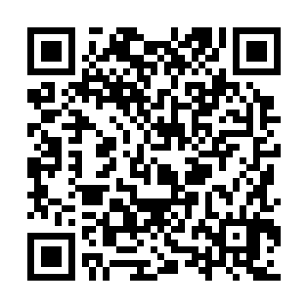 QR code for YZH384