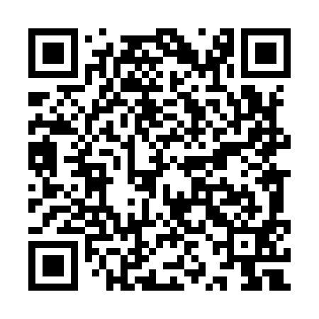 QR code for YZL991