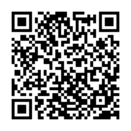 QR code for YZN384