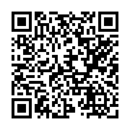 QR code for YZP295