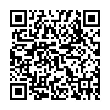 QR code for YZT486