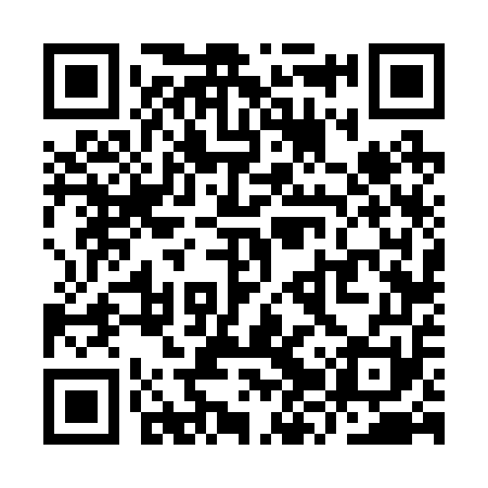 QR code for YZV251