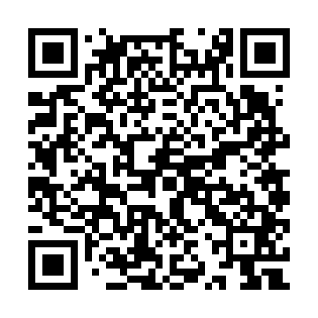 QR code for YZV641