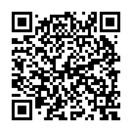 QR code for YZX295