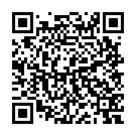 QR code for ZAP173