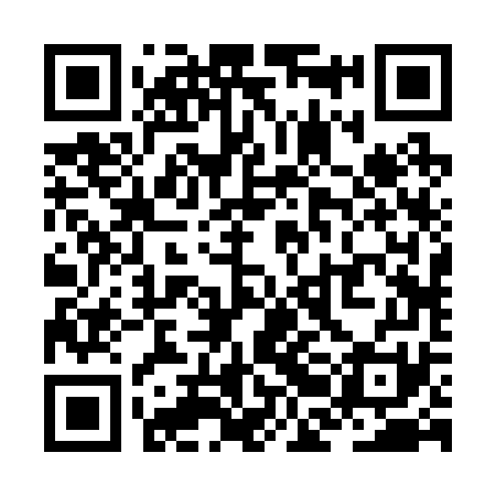 QR code for ZBB271
