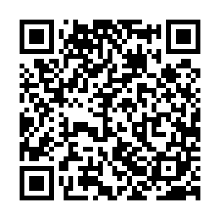 QR code for ZBD541