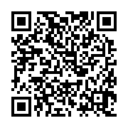 QR code for ZBF384