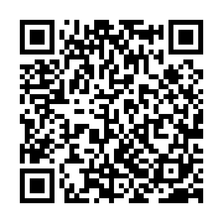 QR code for ZBL161