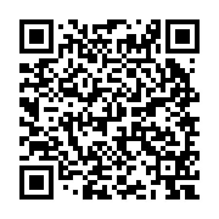 QR code for ZBZ294