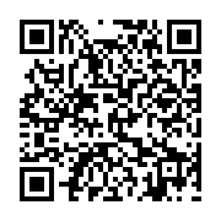 QR code for ZCK369