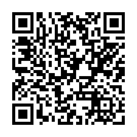 QR code for ZCN611