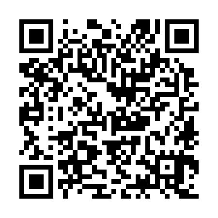 QR code for ZCO385
