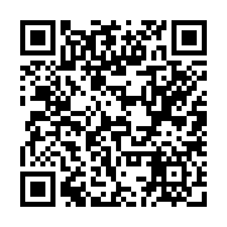 QR code for ZCW387