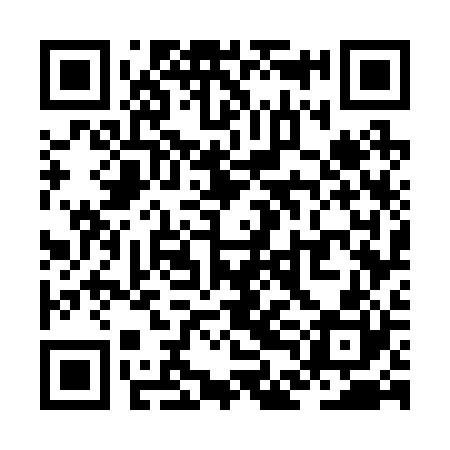 QR code for ZDG220