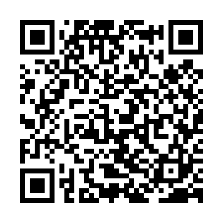 QR code for ZDG423