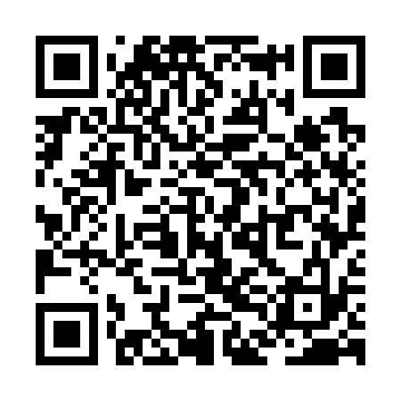 QR code for ZDG733