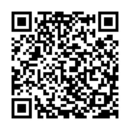 QR code for ZDH599