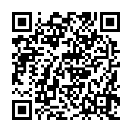 QR code for ZDI386