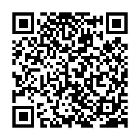 QR code for ZDI411