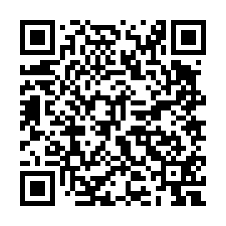 QR code for ZDJ411