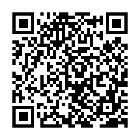 QR code for ZDL476
