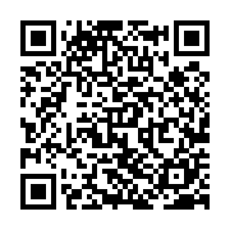 QR code for ZDL505