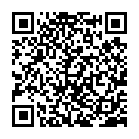 QR code for ZDL611