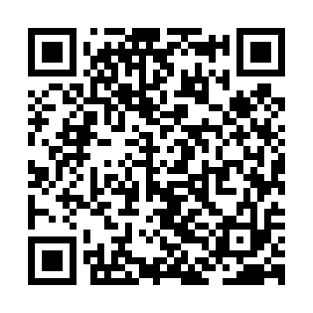 QR code for ZDM413
