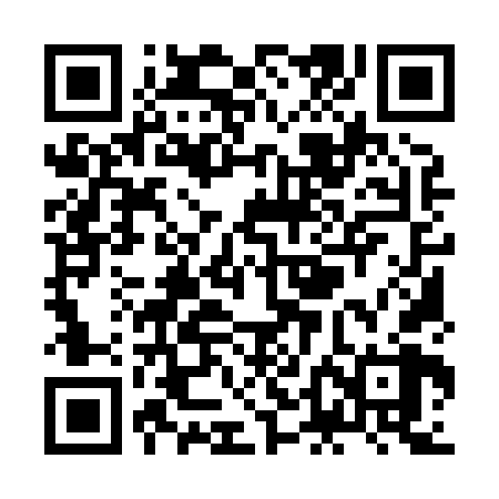 QR code for ZDM868