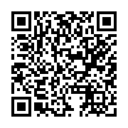 QR code for ZDM981