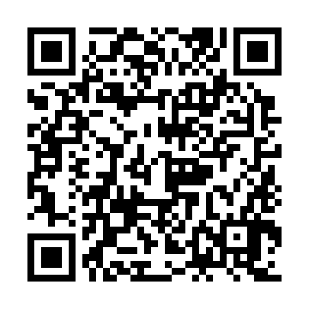 QR code for ZDN386